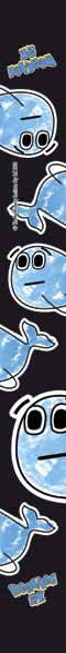 Custom Design - OEM Custom
Design - OEM